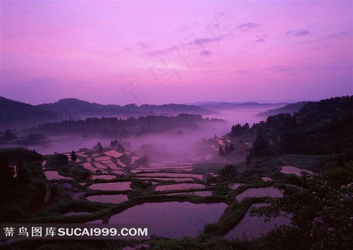 高清梯田风景摄影田园风光