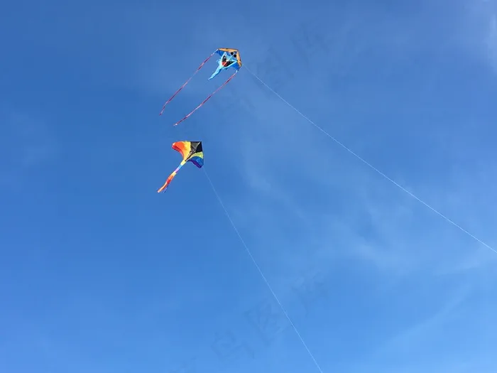 高空两只风筝图片
