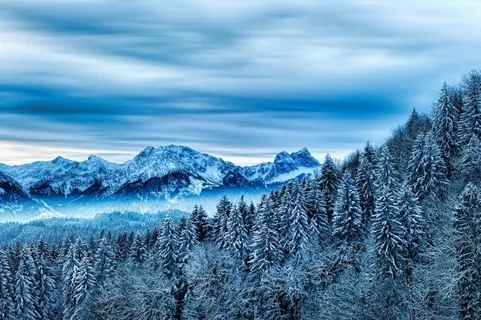 冬天白色背景风景