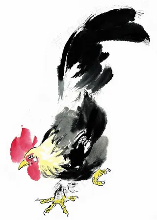 家畜欣赏美图素材