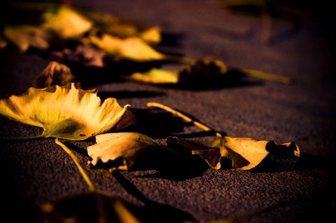 图片设计素材背景炫光背景