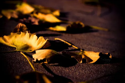 图片设计素材背景炫光背景