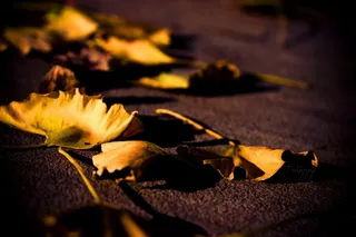 图片设计素材背景炫光背景