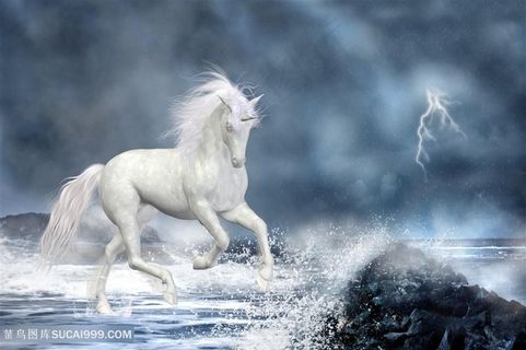 西方神话独角兽高清图片