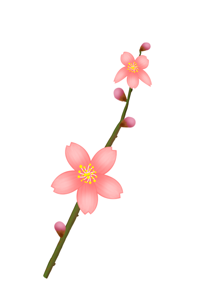 春天浪漫粉红色樱花手绘樱花梅花桃花花朵图片PNG免扣素材