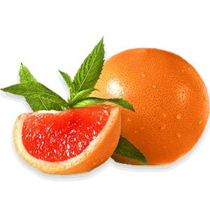 葡萄柚 PNG免抠(300x300)