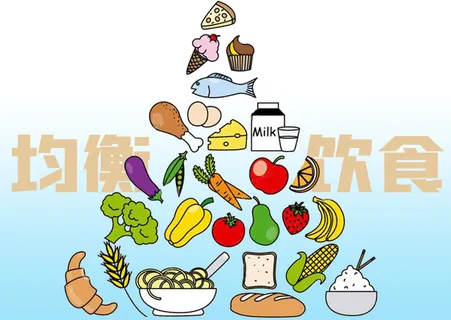科学健康均衡饮食插图