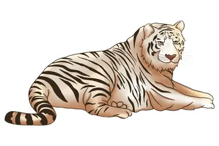 手绘国潮虎年卡通白虎老虎形象插画装饰元素PSD设计素材png免抠图