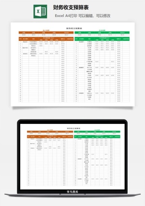 30财务收支预算表