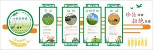 农耕文化水稻的种植