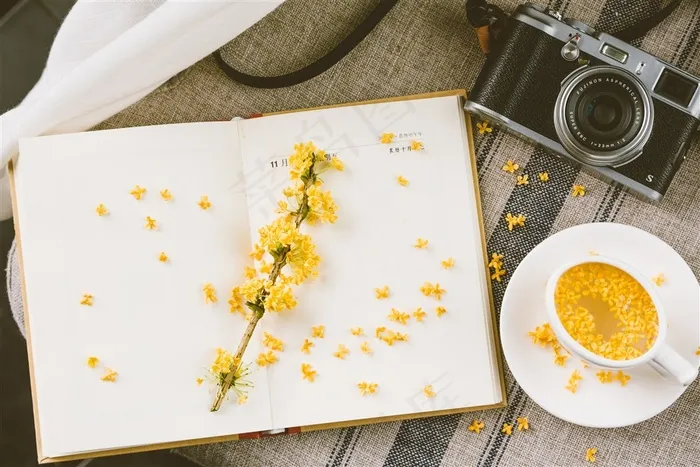 香喷喷的桂花酒大图