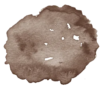 唯美森系手绘水彩花朵 免抠