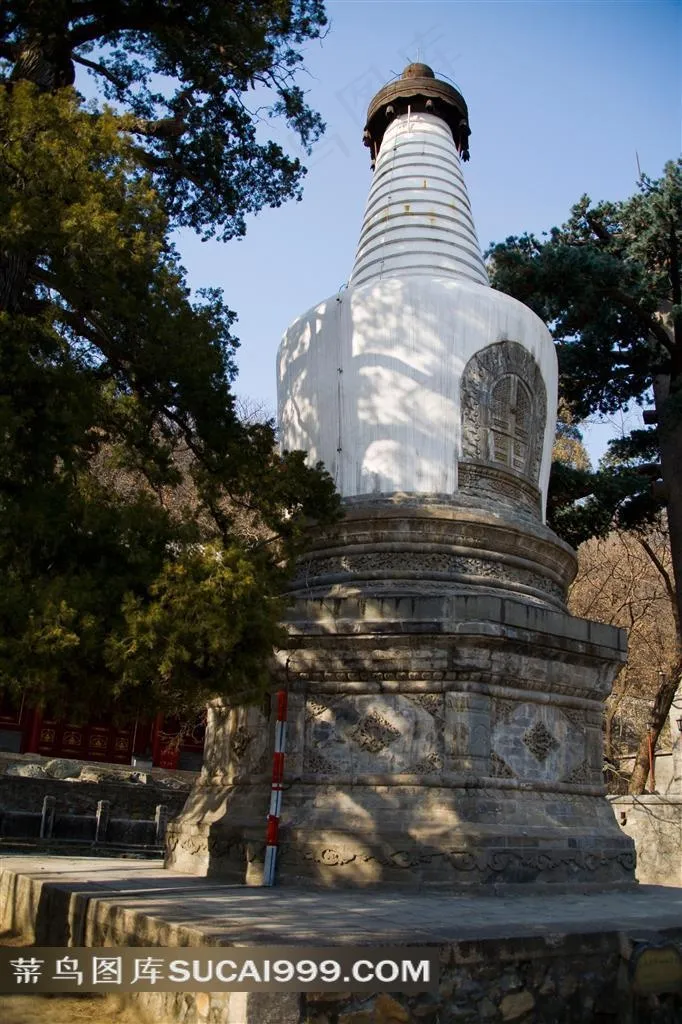 大觉寺白色佛塔古代建筑图片