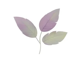 叶子紫色免抠