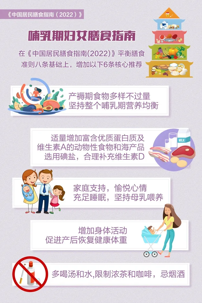 哺乳期妇女膳食指南海报cdr矢量模版下载