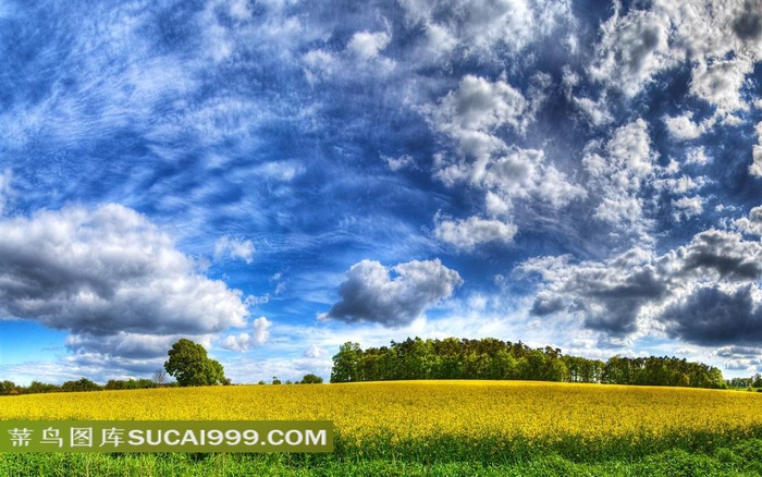 自然风光风景图片