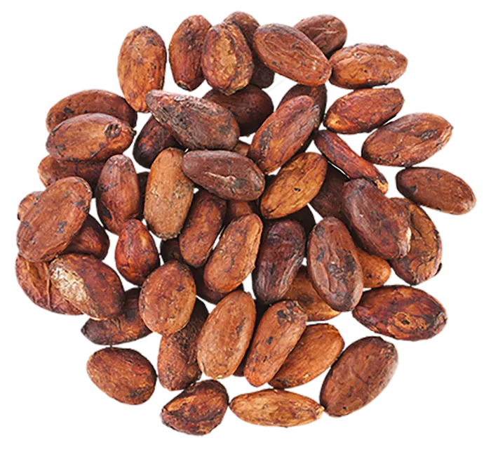 可可果实可可粉免抠 (3)