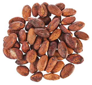 可可果实可可粉免抠 (3)