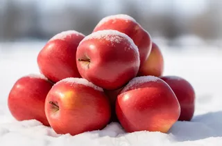 雪地里的红苹果摄影图