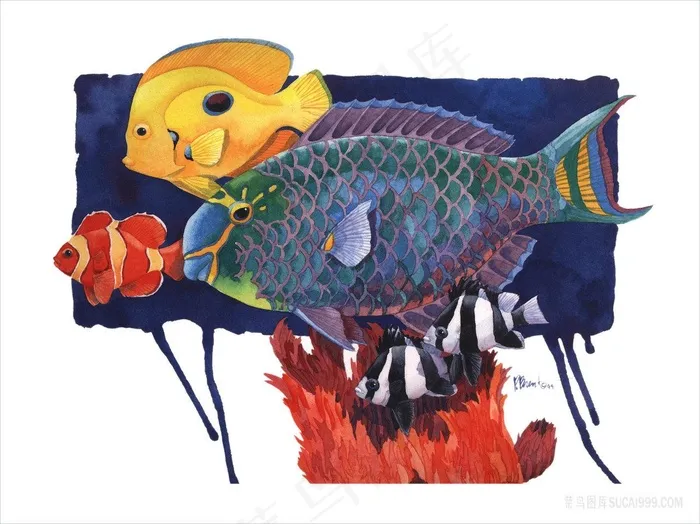 唯美水彩鱼高清油画