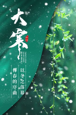 24二十四节气传统节日大寒宣传活动海报插画合集psd设计素材模板