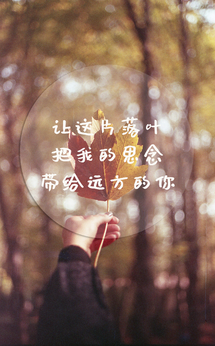 秋天关于思念的文字图片