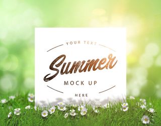 春天草地花朵封面广告PSD素材