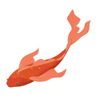 手绘烫金国潮中国风卡通锦鲤鱼金鱼插画装饰元素PSD设计素材