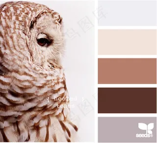 动物配色色卡色彩搭配