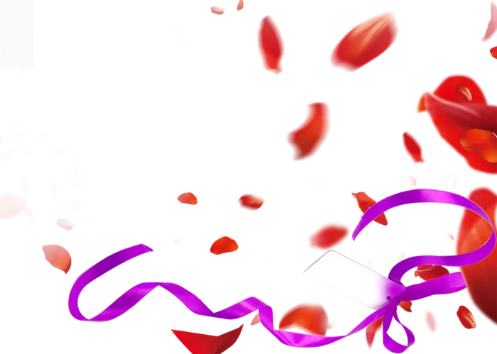 花瓣丝带卡通简笔