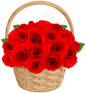 玫瑰 红色 红玫瑰 玫瑰花 花朵 鲜花特写 免抠