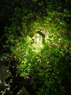 夏日草地的灯光