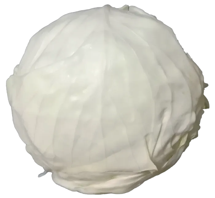 莲花白大头菜菜心免抠摄影实拍实物元素素材psd模版下载