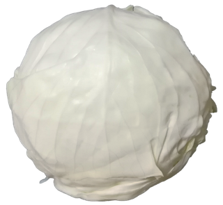 莲花白大头菜菜心免抠摄影实拍实物元素素材