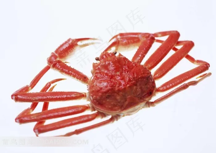螃蟹高清素材