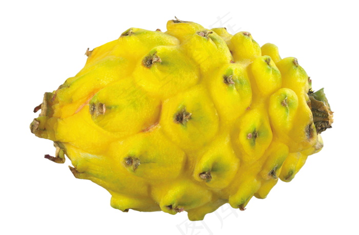 黄色火龙果图片