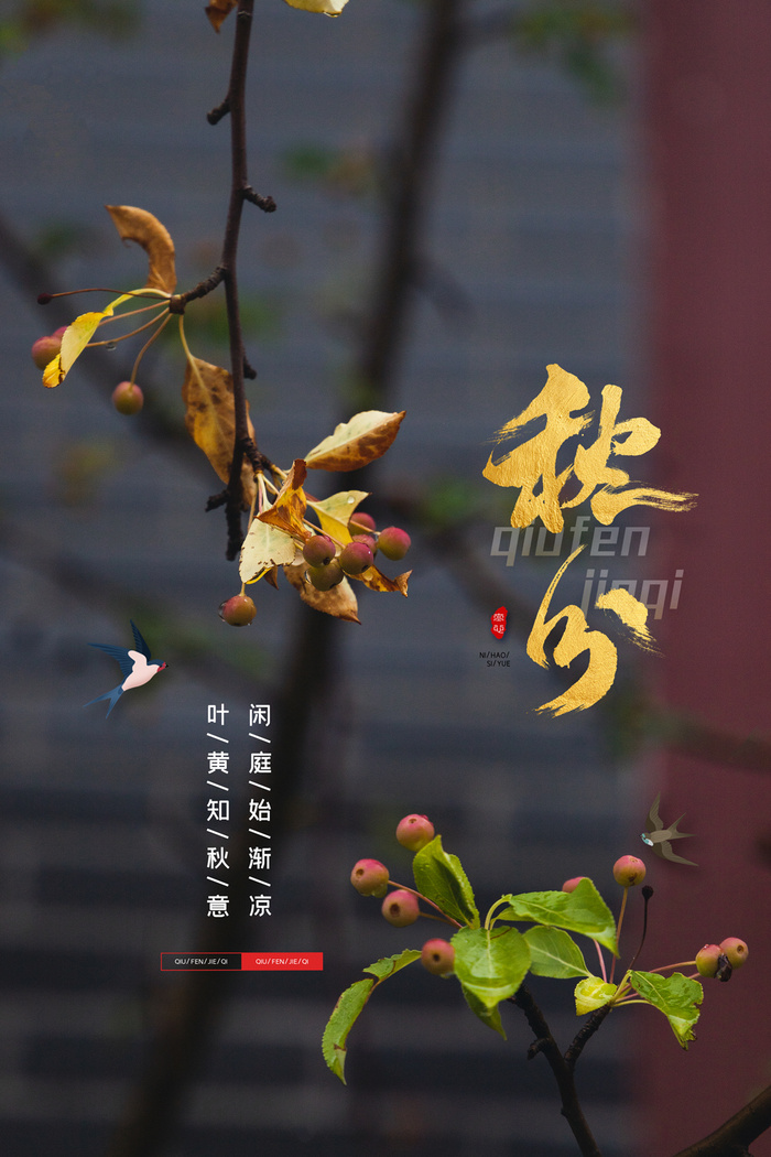 创新秋分促销海报素材psd模版下载
