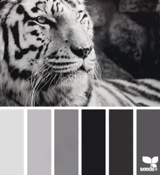 动物配色色卡色彩搭配