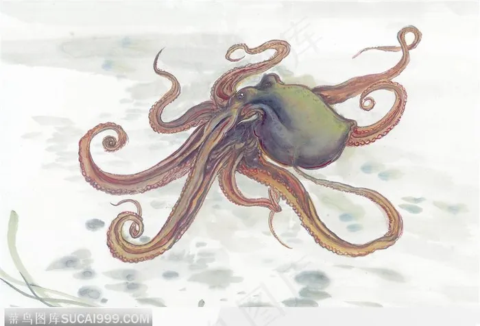 水墨画游鱼