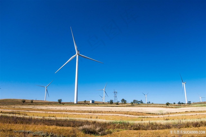 田园上的枫叶发电站