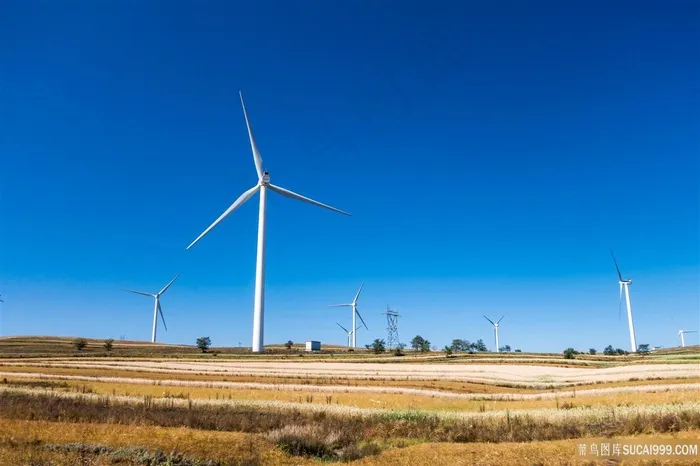 田园上的枫叶发电站