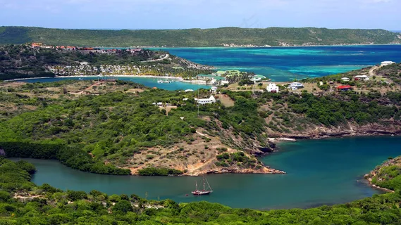 蜂飞蝶舞 蜂飞蝶舞