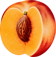 55_peach_PNG4866