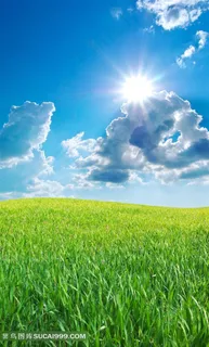 高清草地天空太阳素材图片下载