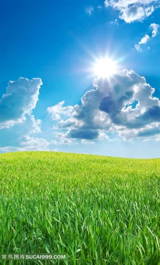 高清草地天空太阳素材图片下载