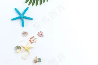 夏日度假静物色彩搭配