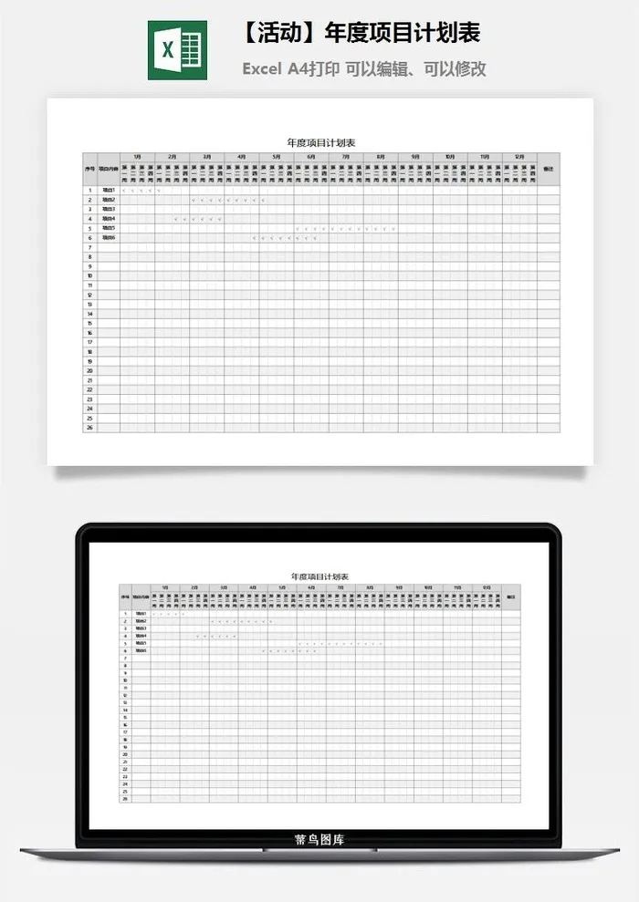 【618活动】年度项目计划表