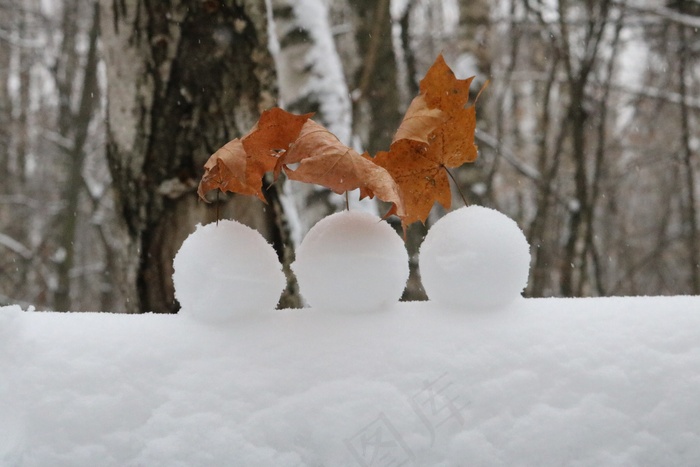 冬季地面积雪风景图片