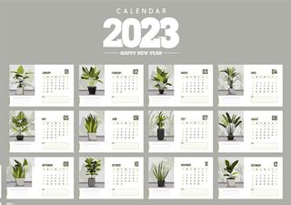 2023日历 2023年挂历 兔年日历 