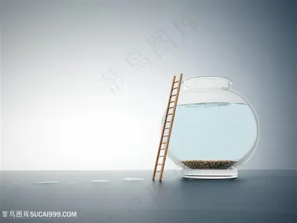 鱼缸与*创意高清图片 鱼缸与*创意高清图片